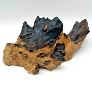 West Elm Driftwood Wall Art Natural Abstract Sculpture - Torched Charcoal Peaks