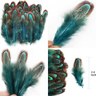 50 Pcs Natural Pheasant Plumage Feathers 2-3 Inches Plumage Feathers for Sewing
