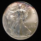 1996 $1 American Silver Eagle Gem BU Uncirculated - RAINBOW TONING, a few spots