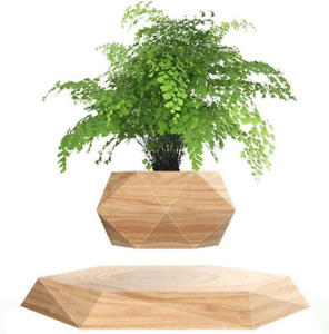 KI Levitating Plant Pot Hexagon Floating Air Bonsai Pot Suspension Flower Pot Pl