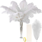 Natural White Large Ostrich Feathers Bulk 10 Pieces - Making Kit 28 Inch Long Fe