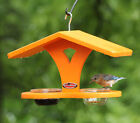 Kettle Moraine Double Recycled Cup Feeder Birdfeeder for Bluebirds Orioles