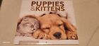 2024 Wall Calendar - PUPPIES and KITTENS - 12 Months NEW Sealed Cute Adorable