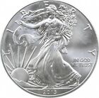 Better Date - 2013 American Silver Eagle 1 Troy Oz .999 Fine Silver *655