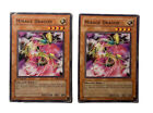 Yu-Gi-Oh! TCG Mirage Dragon Rise of Destiny RDS-EN027 Unlimited Common X2