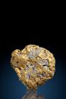 Extremely Rare - Large 221 gram Gold and Quartz Gold Nugget - Fairbanks, Alaska