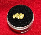 California Natural Gold Nugget 1.3 Grams in a Gem jar w/lid