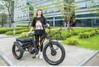 ✨️Fat Tire 3 Wheel Electric  Trike Tricycle 750w 48v 17AH Samsung Battery -bike✨