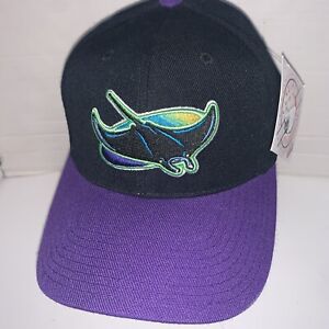 Vtg Tampa Bay Devil Rays Sports Specialties Snapback Hat Cap MLB Wool Blend NWT
