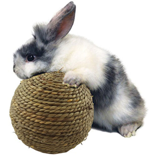 1-3PCS Rabbit Small Pet Chewing Toy Chew Rattan Grinding Ball Natural Grass Ball