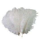 20/50/100 pcs Natural White Ostrich Feathers 12-14 inch/30-35 cm Diy Carnival