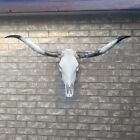 New ListingSteer Cow Skull 4  feet 3   1/2   inches w Polished Bull Horns home decor (926)