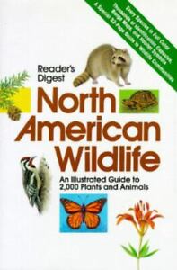 North American Wildlife
