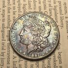 FIRE AND ICE TONED! 1887 $1 Morgan Dollar - Free Shipping