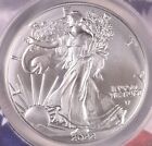 New Listing2022 American Silver Eagle - ANACS MS70 A First Strike Coin