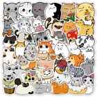 50 Pack of Cute Cat Stickers for Laptop/Water Bottle/Phone Case