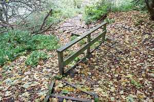 Photo 12x8 Steps in the 100 Steps Path up South Sutor Cromarty/NH7867 The c2021