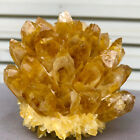 1.63lb  New Find Yellow  Phantom Quartz Crystal Cluster Mineral Specimen Healing