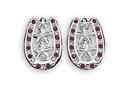 Montana Silversmiths Star Horseshoe Red and Clear Stone Earrings ER999