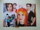 Paramore Hayley Williams Death Cab For Cutie Poster Sweden
