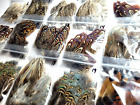 PHEASANT TAIL FEATHERS - U PICK - Various Feather Packs - Fly Tying Materials
