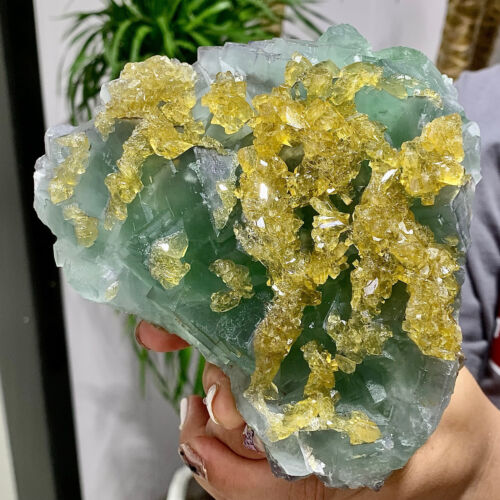 New Listing2.82LB Gram Extraordinary green Fluorite With Baryte Crystals From Pakistan