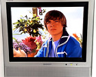 Sharp Aquos LC-13E1U 13 LCD TV Portable Stereo Liquid Crystal Retro Gaming WORKS