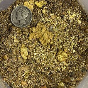 Approximately 20-35lbs US Gold Nugget Pay Dirt  Free Shipping Paydirt