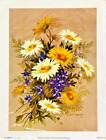 Vintage Art Print Robert Laessig Yellow Daisies 1972 Cunningham Litho 8x6 NIP