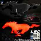 Dynamic Black Pony Tailgate LED Emblem for Mustang Enthusiasts 2015-22 - BLACK