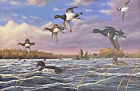 Terry Doughty Water Fowlers Dream Duck Hunting S/N Art Print