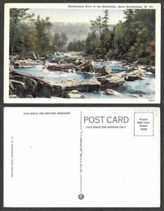 Old West Virginia Postcard - Buckhannon River in the Mountains