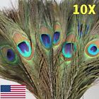 10Pcs Peacock Tail Feathers Natural 12