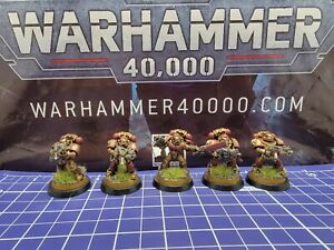 Warhammer 40k Space Marines Minotaurs x5 Pro Painted