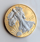 2010 United States Mint 1oz Gilded American Silver Eagle