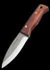 Condor Mini Bushlore Fixed Knife 2.87