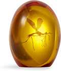 Jurassic Park Mosquito in Amber Resin Prop Replica | Official Jurassic Park Coll