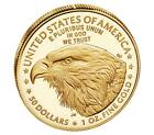 2021-W 1 Oz New American Eagle One Ounce Gold Proof Coin (21EBN)Type 2