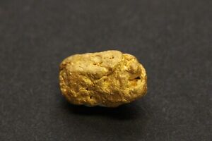 Gold nugget 4.3 Grams  Devils Nest Placer  Yavapai Co. AZ