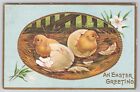 BABY BLUE EASTER GREETINGS, CHICKS HATCHING, ADDRESSED TO  HILBERT WISCONSIN