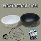 Medaka Rice Fish Bowl Matte Black and White Sorting and Photography of Ricefish