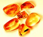 60.40 Cts. Natural Genuine Old Baltic Amber Untreated Certified Gemstone