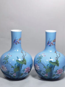 New ListingA Pair Chinese Hand Painting Famille Rose Porcelain Bird Globular Shape Vase