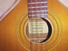 New ListingLark in the Morning Mandocello - barely used with extra strings, case, and strap
