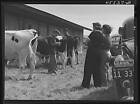 New ListingRutland Fair,Rutland,Vermont,VT,Farm Security Administration,1941,FSA,59