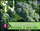 2,500+ Broccoli Seeds [Waltham 29] Vegetable Gardening Seed, Heirloom, Non-GMO