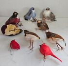 Vintage 9 pc Unique Variety Lot of Bird Ornaments W/Feathers