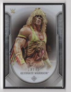 The Ultimate Warrior 2021 Topps Transcendent WWE Base Metal Frame Card #50 /50