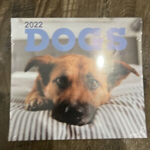 2022 Dogs 16 Month Wall Calendar 11