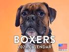 Boxer 2024 Calender Boxer Dog Gifts Wall Calendar